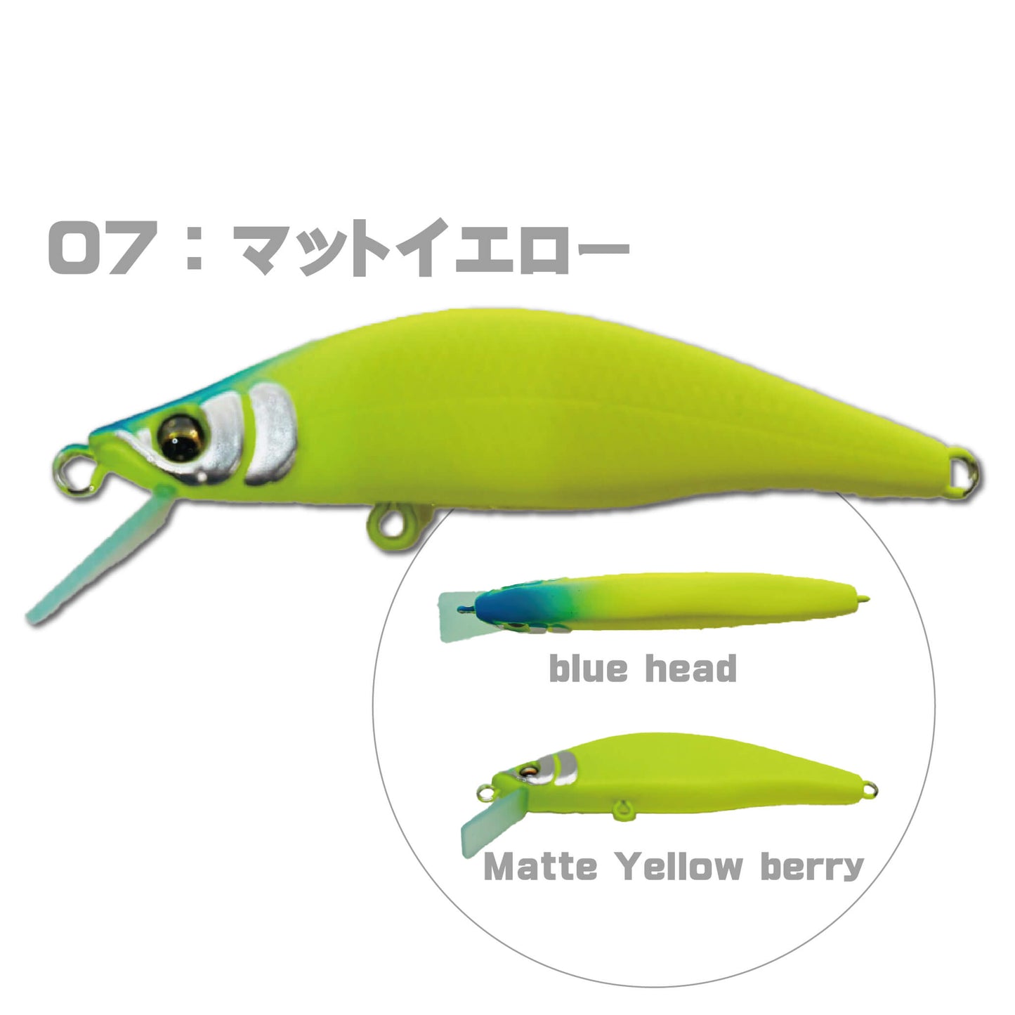 Zeebach50 F（ジーバッハ50 フローティング）