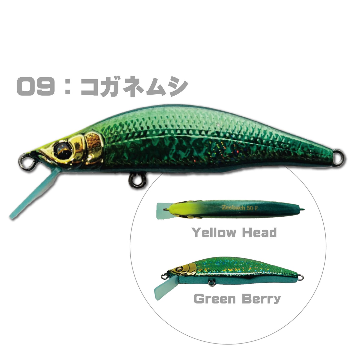 Zeebach50 F（ジーバッハ50 フローティング）