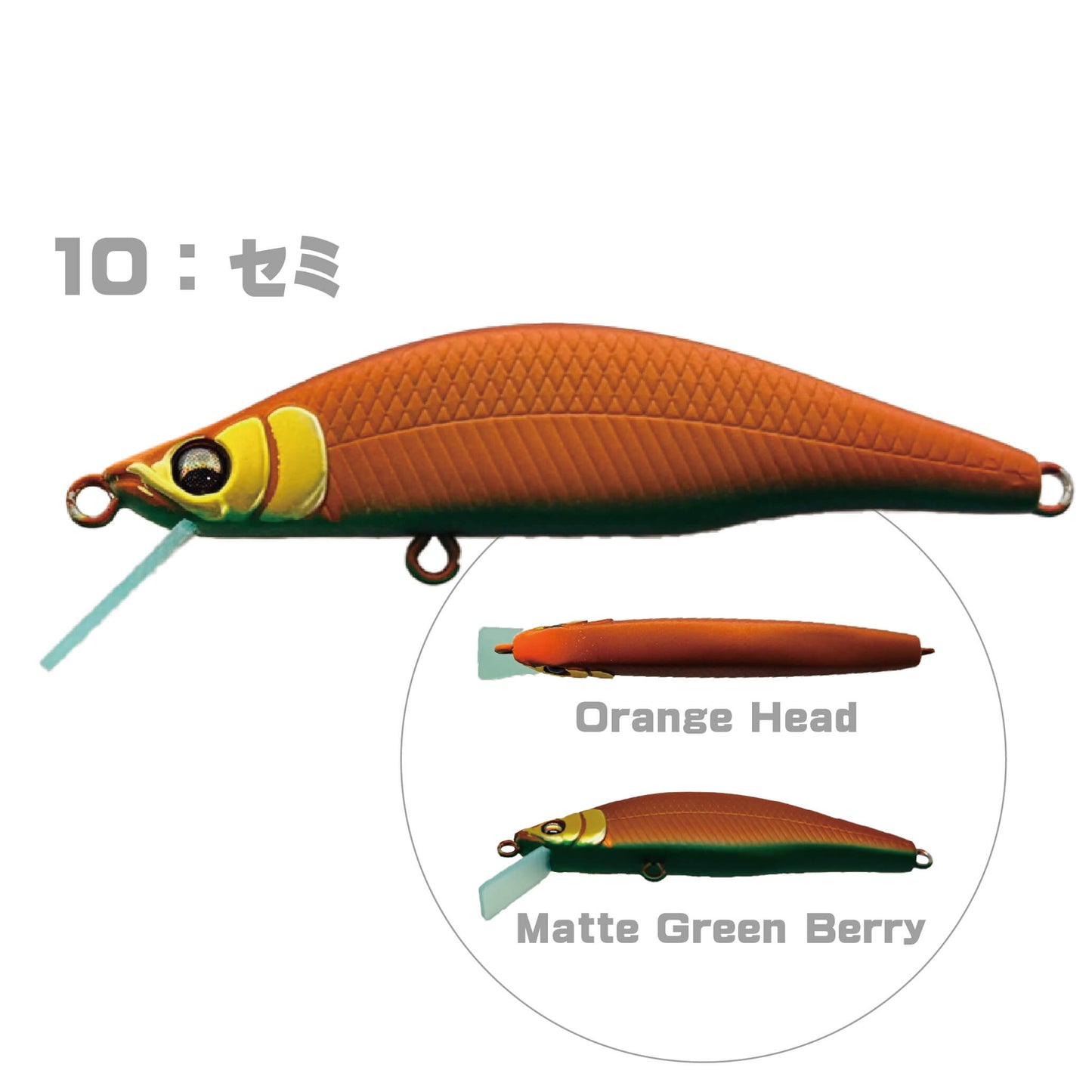 Zeebach50 F（ジーバッハ50 フローティング）